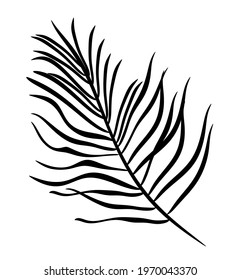 Abstract leafs on the white background. Vector