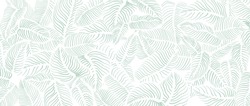 Abstract Leave Background Pattern Vector. Tropical Monstera Leaf Design Wallpaper. Botanical Texture Design For Print, Wall Arts, And Wallpaper.