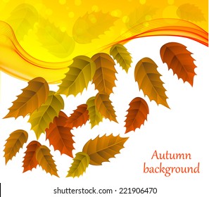 Abstract leaves background