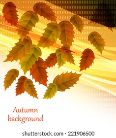 Abstract leaves background