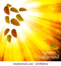 Abstract leaves background