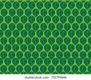 Abstract leaves background pattern.- illustration, vector, green background