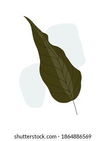 Resumen hojas de fondo ilustración vectorial dibujo manual diseño 