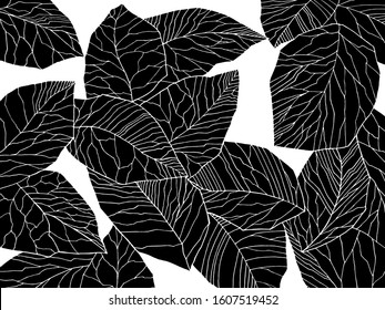 Abstract leaves design background. Black and white vector graphics. Picture for your fabric, wrapping paper or wallpaper design. Hand-drawn.