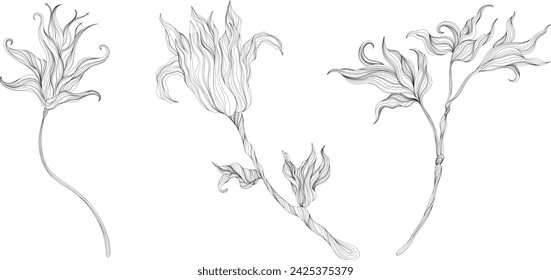 Hojas abstractas y flor aisladas en conjunto blanco. Colección de ilustraciones dibujadas a mano con tinta de línea.