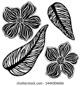 abstract leaves and flowers, in black, isolate in white