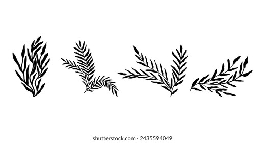 Abstract leaves. Hand drawn black plants. Vector foliage silhouettes. Natural organic ornament.