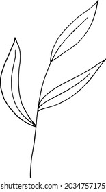 abstract leaves icon. hand drawn doodle. vector, scandinavian, nordic, minimalism monochrome plant herbarium
