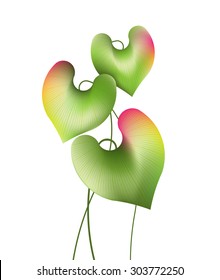 abstract leaves illustration vector isolated on white background