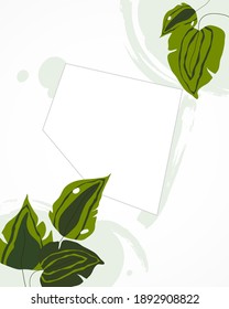 Abstract leaves invitation card background vector illustration hand draw design 