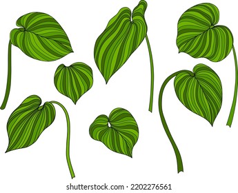 Abstract leaves isolated on white. Green tropical leaves. Hand drawn vector illustration