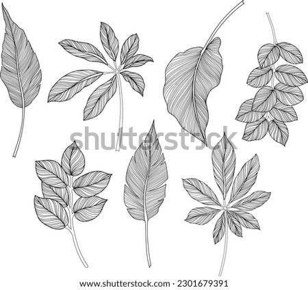 Abstract leaves isolated on white collection. Tropical leaves set. Hand drawn vintage illustration.