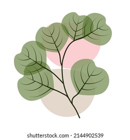 Abstract leaves on a branch, minimalist boho style, plant for postcard, botanical wall print, wallpaper, cover, vector illustration