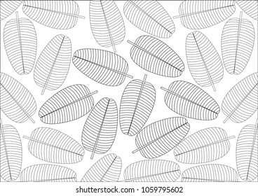 Abstract leaves on white background pattern - 
Formal Garden, Plant, Rain forest, Springtime, Summer