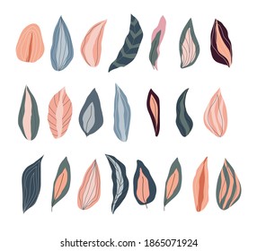 Hojas abstractas conjunto ilustración vectorial diseño de dibujo manual 