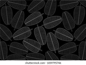 Abstract leaves skeleton background pattern.- 
Formal Garden, Plant, Rain forest, Springtime, Summer
