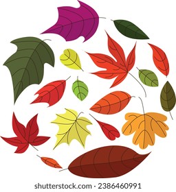Abstracto deja el arte vectorial, diseño botánico para patrón, impresión, cubierta, banner, papel de pozo. Temporada de otoño. Elemento lindo del castor