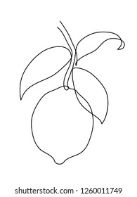 Abstract lemon fruit on branch. One line drawing