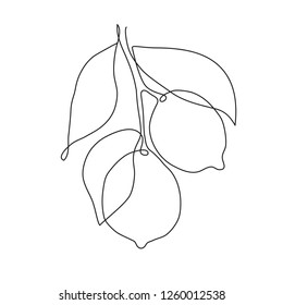 Abstract lemon fruit on branch. One line drawing