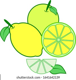 Abstract Lemon And Lime Citrus Fruit And Slice , Green Fresh And Yellow Color