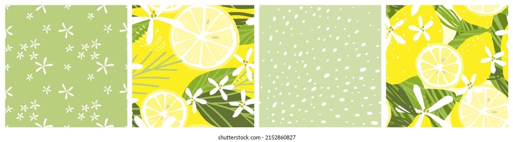 Abstract lemon seamless pattern set. Summer citrus fruit spray vector background design.