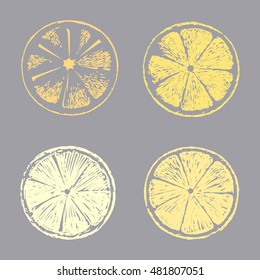 Abstract lemon slice, Sketch hand drawn