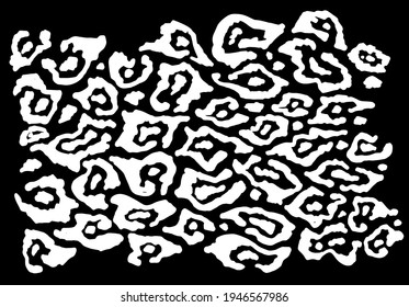 Abstract leopard skin design template. Jaguar, leopard, cheetah, Panther. Black and white camouflage background. irregular white lines of varying thickness with spots inside an abstract vector texture