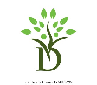 abstract letter D with tree leave on top. letter D logo with tree leave HUMAN.