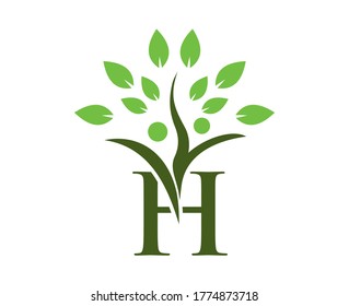 abstract letter H with tree leave on top. letter H logo with tree leave HUMAN.