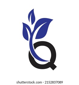 Abstract letter Q logo design,Gold, beauty industry and fashion logo.
cosmetics business, natural,spa salons. yoga, medicine companies and clinics,
Letter Design Vector with leave logo design element 