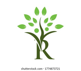 abstract letter R with tree leave on top. letter R logo with tree leave HUMAN.
