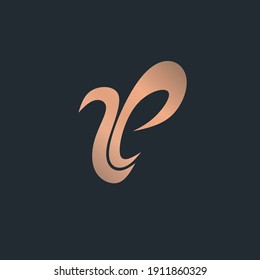 abstract letter SE logo outline sparkling color, abstract style in vector form,