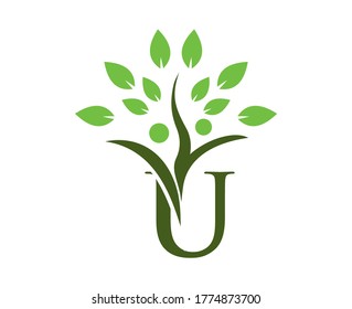 abstract letter U with tree leave on top. letter U logo with tree leave HUMAN.