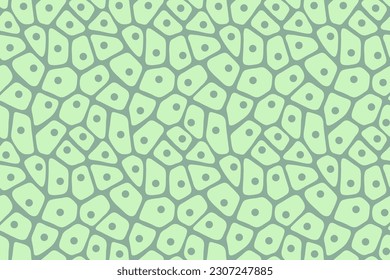 Abstract light green seamless pattern. Plant biological cell artwork background. Vector illustration