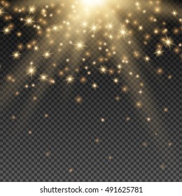 Abstract Light Overlay Effect On Transparent Background. Vector Illustration. Bokeh And Sparkles. Golden Sun Rays