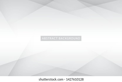 Abstract light silver background vector. Modern white background.