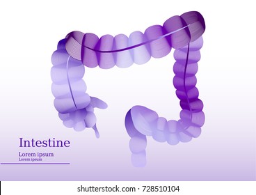 Abstract lila illustration of intestine