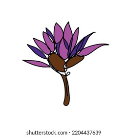 Abstract Lily flower line art. Colorful icon or illustration in white background.
