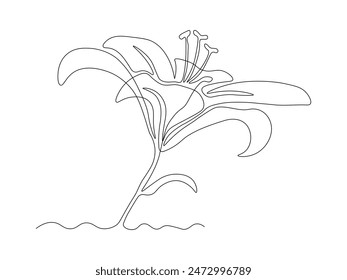 abstract lily flower,continuous single line art drawing sketch, logo