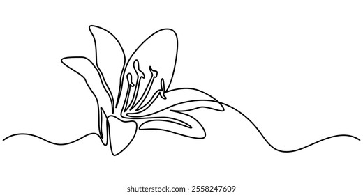 abstract lily flower,continuous single line art drawing sketch, logo, Lily Continuous Line Drawing with Editable Stroke. Vector Pen and Ink Illustration, Continuous one line drawing beauty fresh.