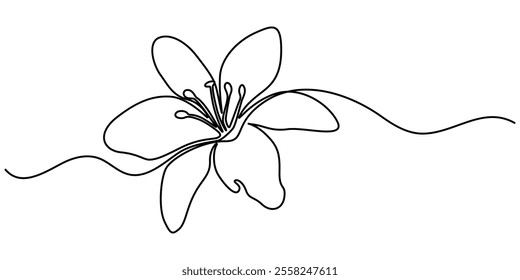 abstract lily flower,continuous single line art drawing sketch, logo, Lily Continuous Line Drawing with Editable Stroke. Vector Pen and Ink Illustration, Continuous one line drawing beauty fresh.