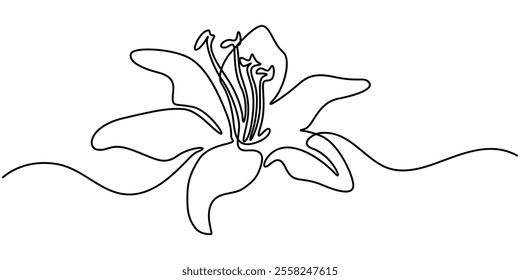 abstract lily flower,continuous single line art drawing sketch, logo, Lily Continuous Line Drawing with Editable Stroke. Vector Pen and Ink Illustration, Continuous one line drawing beauty fresh.