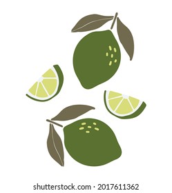 Abstract lime fruit, boho lime element isolated vector illustration, summer tropical fruit art