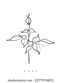 Abstrakte Linienkunst. Schöne Vektorgrafik der Rosenskizze.