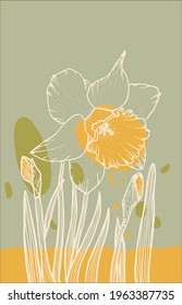 Arte abstracto de la flor daffodil con manchas de color. Dibujo de contorno de Daffodil. Ilustración de flores mínima.