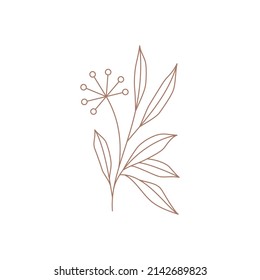 Abstract line art dandelion with stem and leaves floral blossom logo vector illustration. Monochrome seasonal wild flower simple minimalist icon for gardening farm rustic design of wall print card