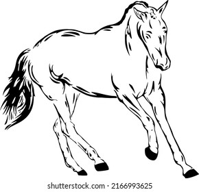 Abstract line art drawing of an running sport horse 