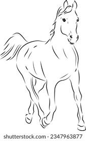 Abstract line art drawing of an trotting horse, Horse standing, outline vector illustrations design, horse, outline drawing, sketch, isolated monochrome image on white background
