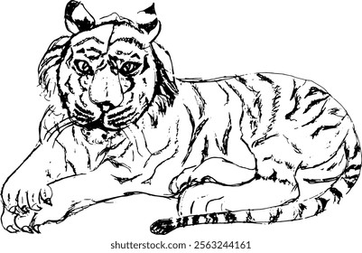 Abstractas boceto de arte de línea de un tigre ponedor. Ideal para proyectos de vida silvestre y naturaleza, arte digital, tarjetas de felicitación, dibujo de líneas minimalista captura la belleza y la fuerza del tigre.