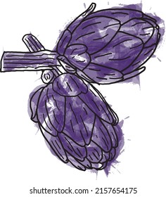 Abstract line of Artichoke violetta di chioggia with color paint on white background.